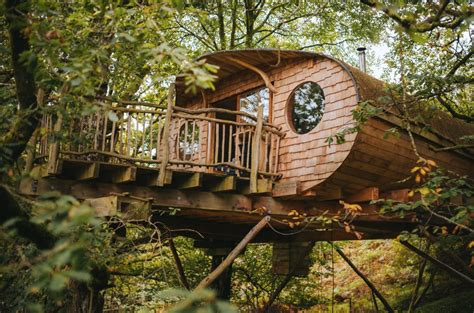 Into the Wild: Exploring the Mysteries of the Magical Treehouse in the Woods